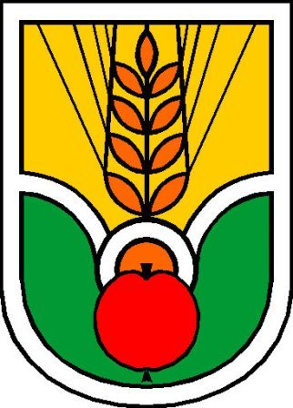 pucon1 - Kopija